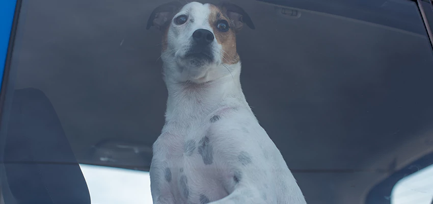 Car Lockout Solutions in Poway, California